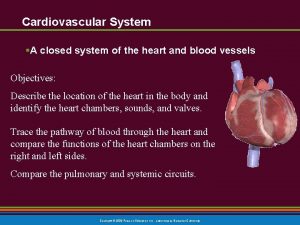 Cardiovascular System A closed system of the heart