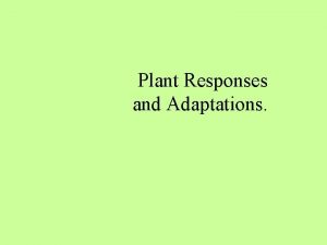 Plant Responses and Adaptations What is a tropism