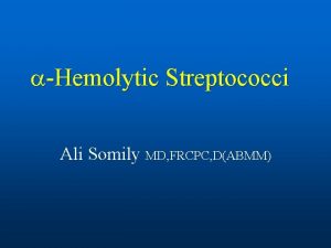 Hemolytic Streptococci Ali Somily MD FRCPC DABMM Introduction