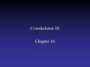 Cytoskeleton III Chapter 16 Actin binds to many