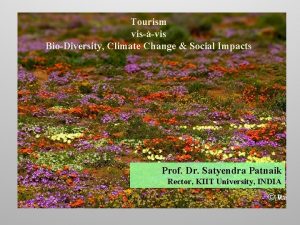 Tourism visvis BioDiversity Climate Change Social Impacts Prof