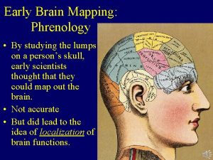 Brain mapping test