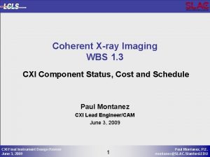Coherent Xray Imaging WBS 1 3 CXI Component