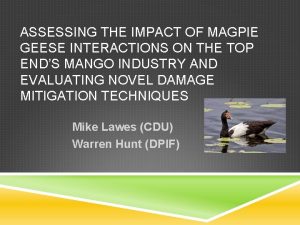 ASSESSING THE IMPACT OF MAGPIE GEESE INTERACTIONS ON