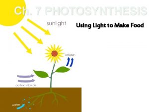 Photosynthesis using light to make food