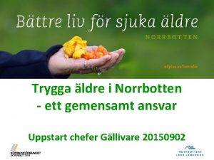 Trygga ldre i Norrbotten ett gemensamt ansvar Uppstart