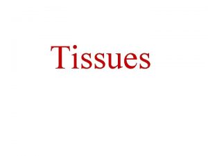 What are the four major tissue types