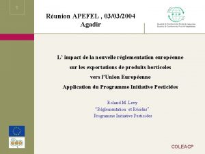 1 Runion APEFEL 03032004 Agadir L impact de
