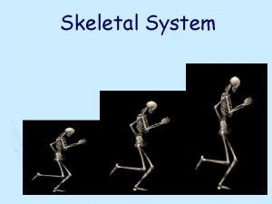Crash course skeletal system