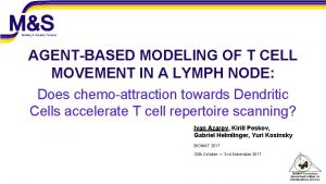 AGENTBASED MODELING OF T CELL MOVEMENT IN A