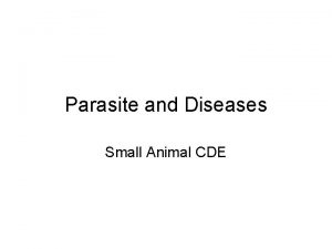 Parasite and Diseases Small Animal CDE Canine Distemper