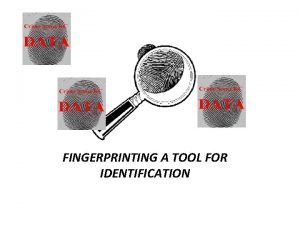 FINGERPRINTING A TOOL FOR IDENTIFICATION DNA Fingerprinting or