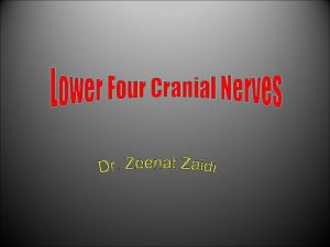 Cranial nerves
