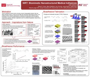 NIRT Biomimetic Nanostructured Medical Adhesives CBET 0609182 Edwin