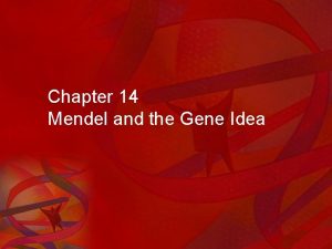 Chapter 14 Mendel and the Gene Idea Inheritance