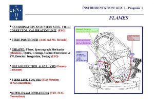 INSTRUMENTATION OID L Pasquini 1 FLAMES COORDINATION AND