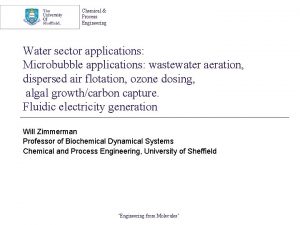 Chemical Process Engineering Water sector applications Microbubble applications