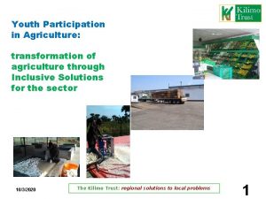 Youth Participation in Agriculture transformation of agriculture through