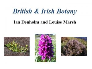 British and irish botany