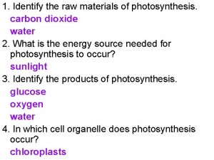 Raw materials for photosynthesis