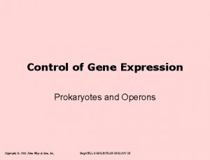 Control of Gene Expression Prokaryotes and Operons Copyright