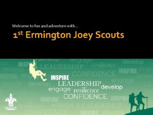 Ermington scouts