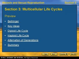 Meiosis and Sexual Reproduction Section 3 Multicellular Life