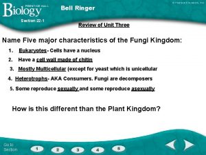 Section 22-4 seed plants answer key