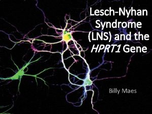 Lesch nyhan syndrome