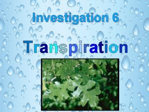 Investigation 6 Transpiration At the end of Investigation
