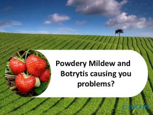 Powdery Mildew and Botrytis causing you problems Introducing