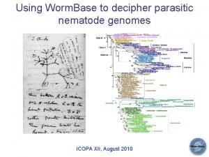Using Worm Base to decipher parasitic nematode genomes