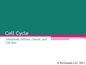 Cell Cycle Interphase Mitosis Cancer and Cell Size