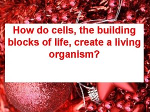 How do cells the building blocks of life
