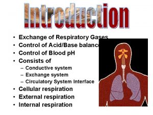 Epiglotttis