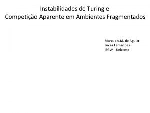 Instabilidades de Turing e Competio Aparente em Ambientes