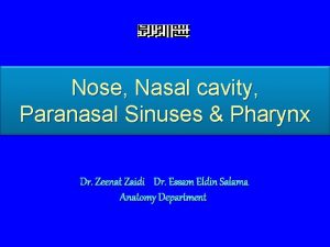 Nose Nasal cavity Paranasal Sinuses Pharynx Dr Zeenat