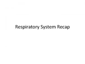 Respiratory System Recap Gas Exchange Alveoli are tiny