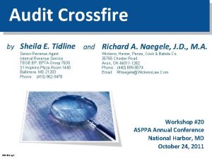 Audit Crossfire by Sheila E Tidline Senior Revenue