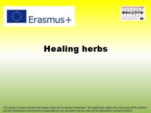 Healing herbs This project has been funded with