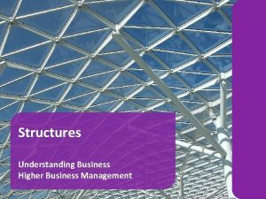 Structures Understanding Business Higher Business Management 1 Organisation