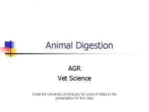 Digestive system in poultry