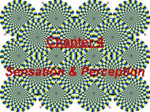 Chapter 4 Sensation Perception Sensation The process by