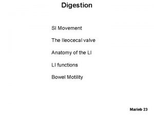 Ileocecal valve anatomy