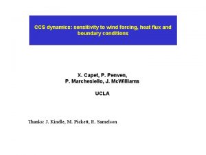 CCS dynamics sensitivity to wind forcing heat flux