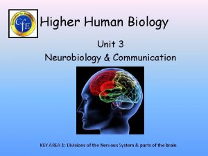 Higher Human Biology Unit 3 Neurobiology Communication KEY