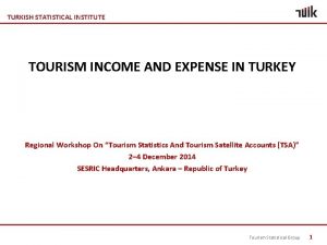 TURKISH STATISTICAL INSTITUTE TOURISM INCOME AND EXPENSE IN