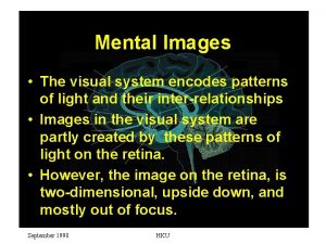 Mental Images The visual system encodes patterns of