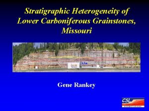 Stratigraphic Heterogeneity of Lower Carboniferous Grainstones Missouri Gene