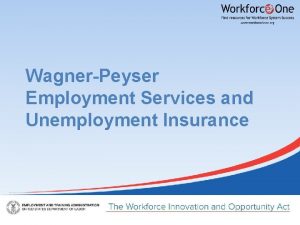 WagnerPeyser Employment Services and Unemployment Insurance Presenter Gay